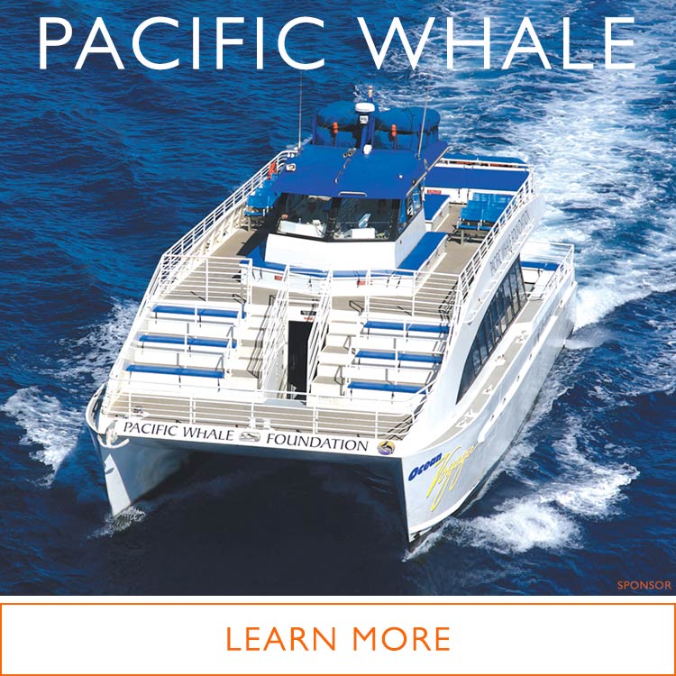 Pac Whale Snorkeling Molokini