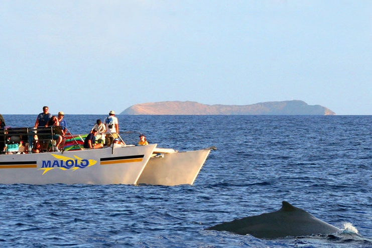 malolo charters
