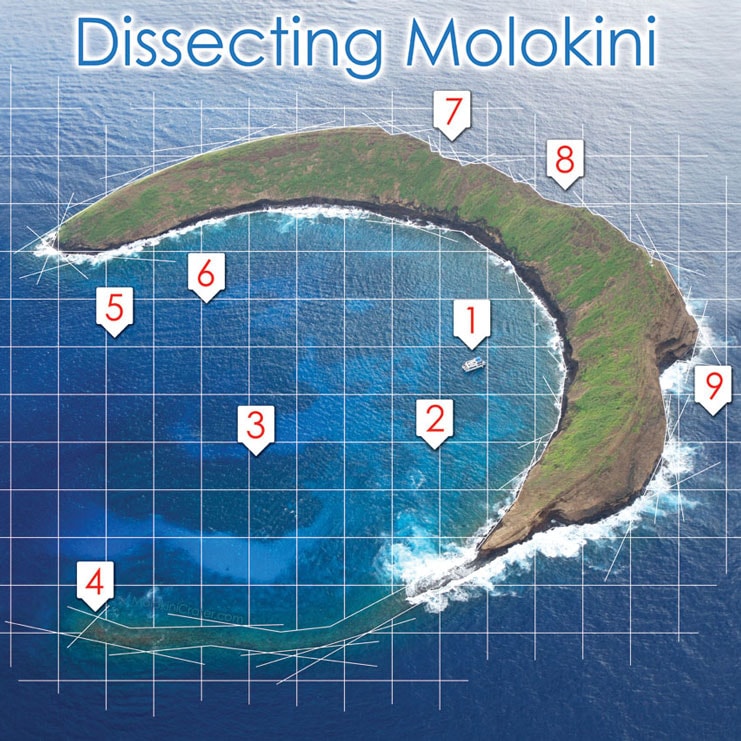 molokini dive spots