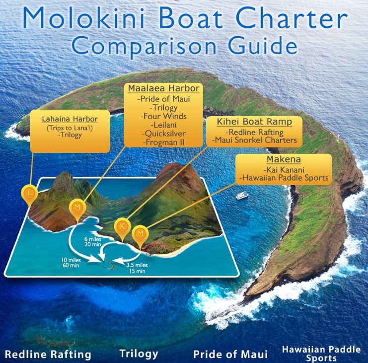 Molokini boat comparison