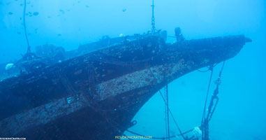 Underwater Adventure with Atlantis Submarine