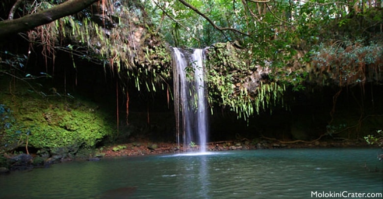 waterfalls maui