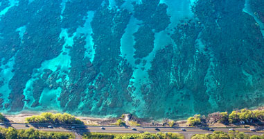 Top 5 West Maui Snorkel Spots