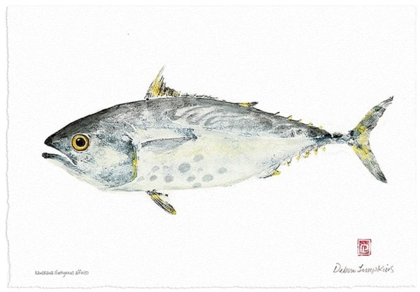 Debra Lumpkins and the Japanese tradition of Gyotaku