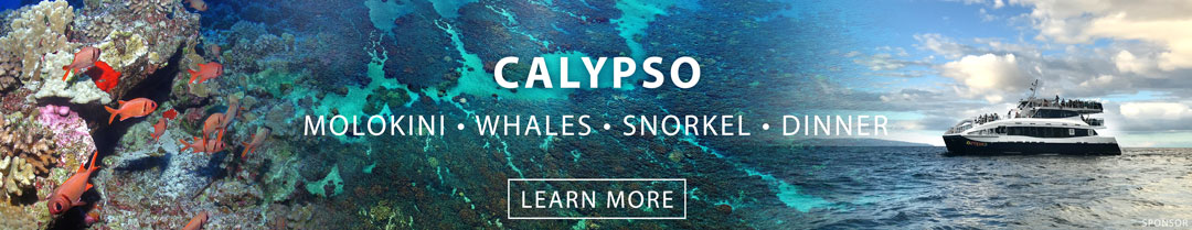 Calypso Snorkeling Molokini