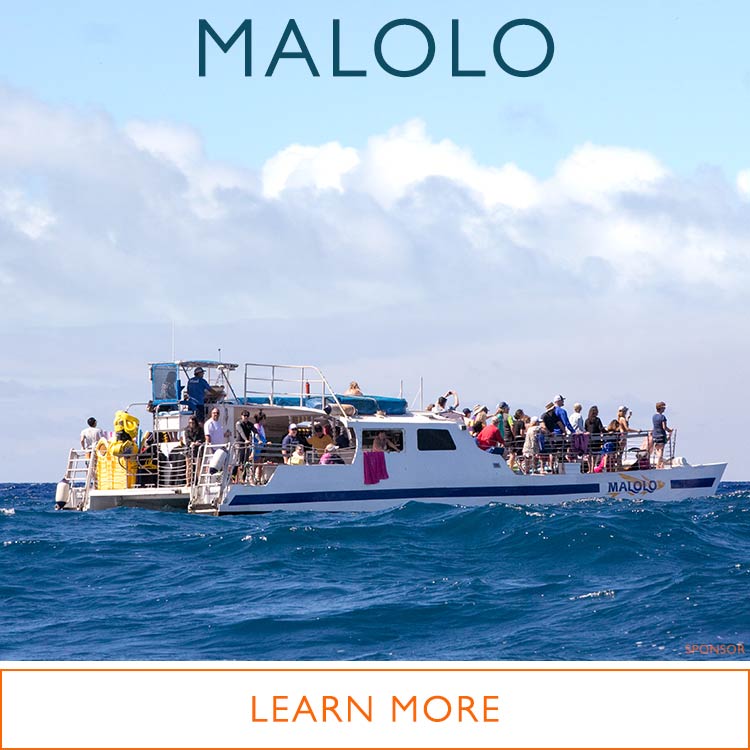 Malolo Snorkeling Molokini