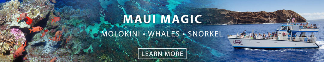 Maui Magic Snorkeling Molokini