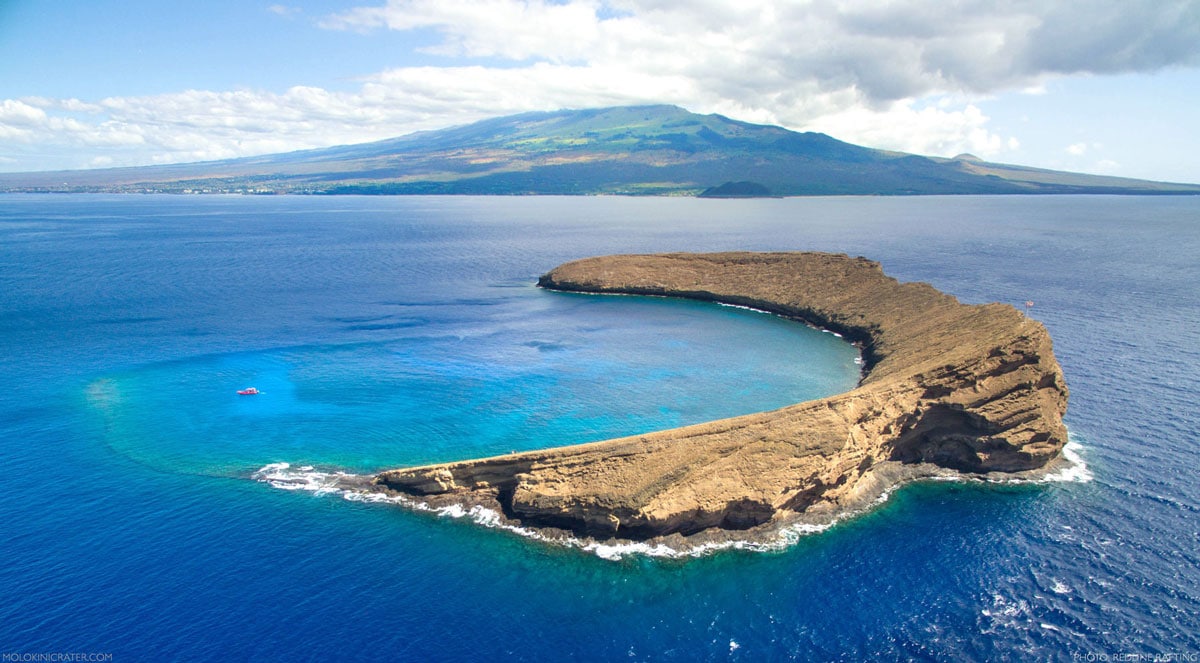 Molokini Crater Snorkeling Guide In Maui Hawaii 2023