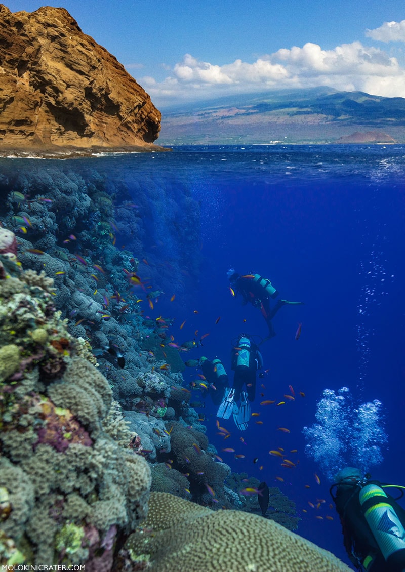 Molokini Scuba Diving Molokini Scuba Diving