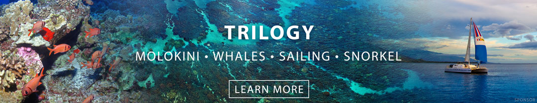 Trilogy Snorkeling Molokini