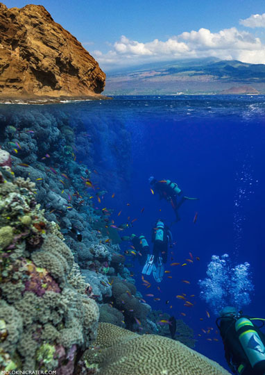 Molokini scuba diving Maui