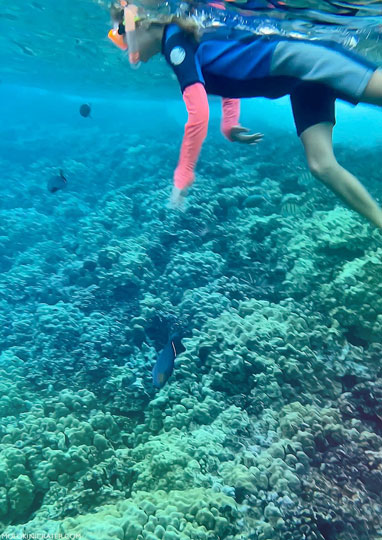 Snorkeling at Molokini Crater in Hawaii