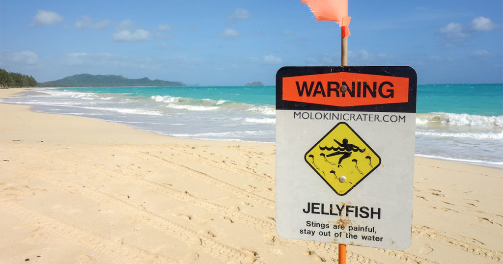 Hawaii danger sign for Jellfish