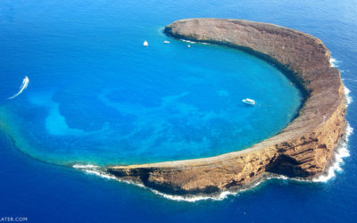 Molokini Questions Answered