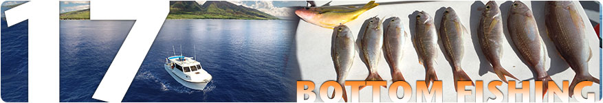 Maui fishing charters