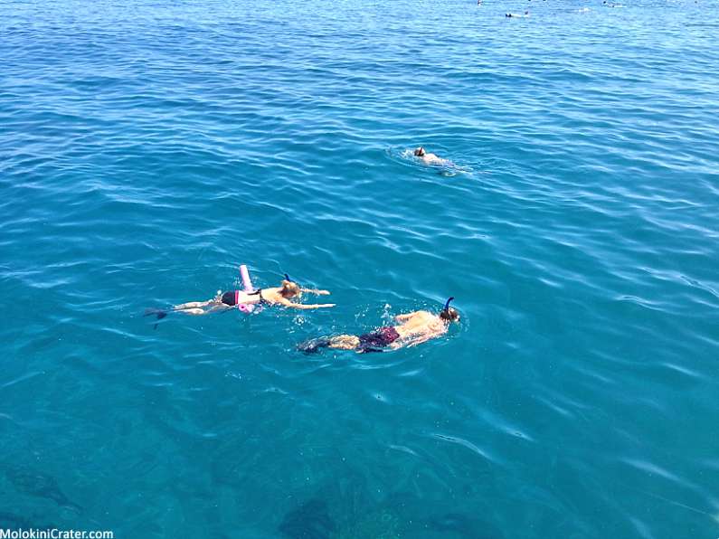 Top 5 Maui Snorkeling Spots Buddy System