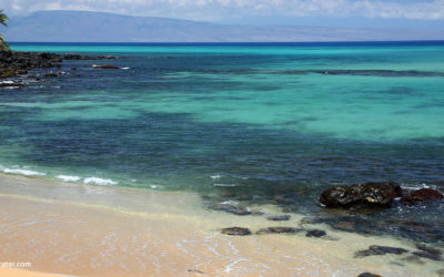 Top 5 Maui Snorkeling Spots