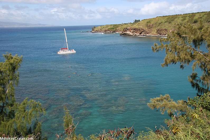 Top 5 Maui Snorkeling Spots Honolua Bay