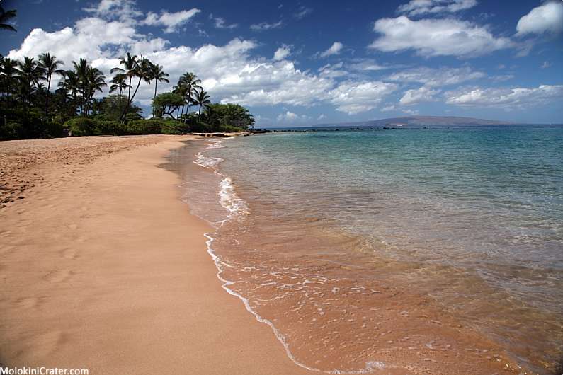 Top 5 Maui Snorkeling Spots South Maui