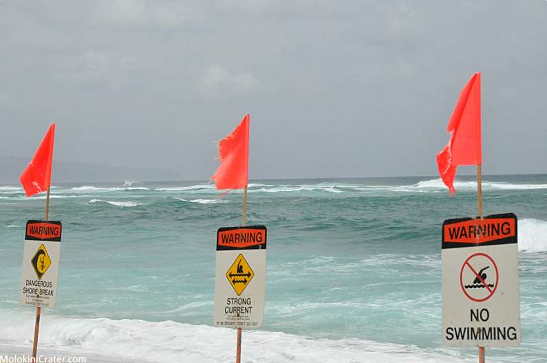 Top 5 Maui Snorkeling Spots Warning