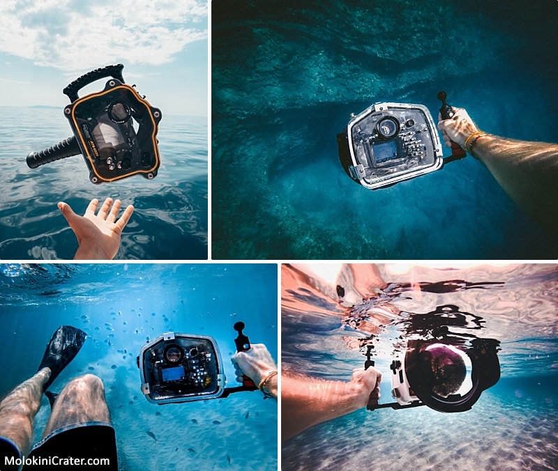 Hawaii Underwater Photos Underwater Camera