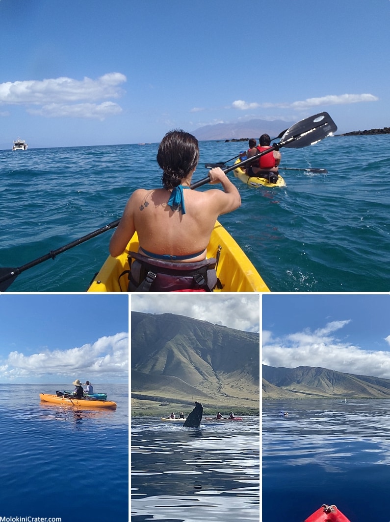 Maui Ocean Activities Kayak