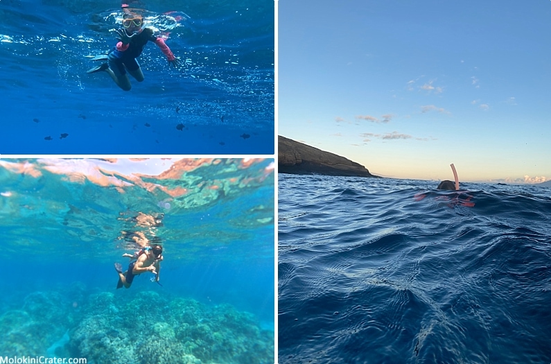Maui Ocean Activities Snorkeling