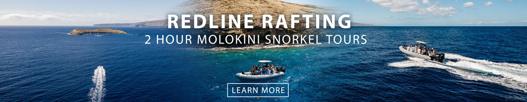 Redline Snorkeling Molokini