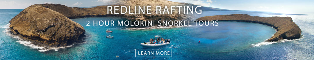 Redline Snorkeling Molokini