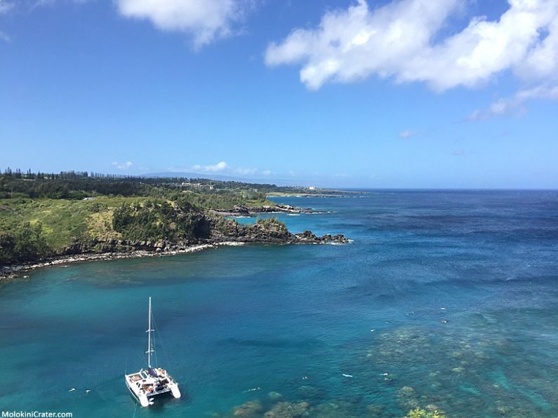 West Maui Snorkel Spots Honolua Bay