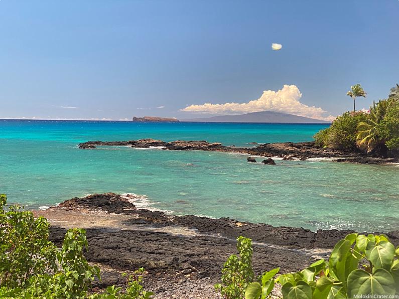 Maui Discount Snorkeling Ahihi Cove