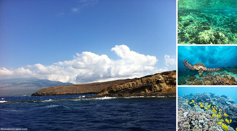 Maui Discount Snorkel Tours Water Views