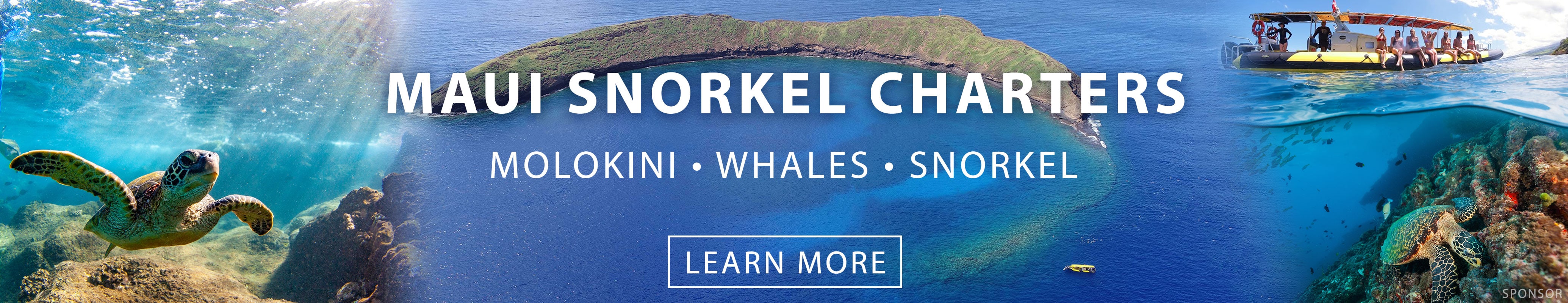 Maui Snorkel Charters
