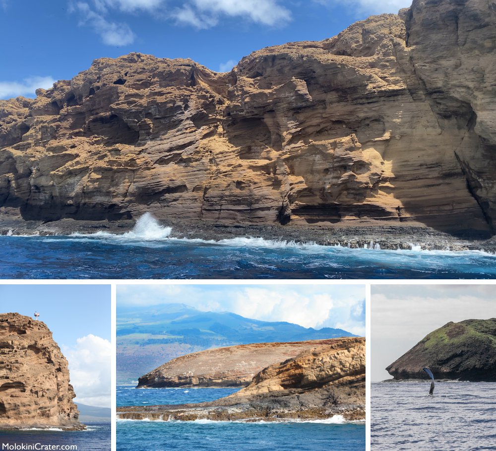 Molokini backwall Maui