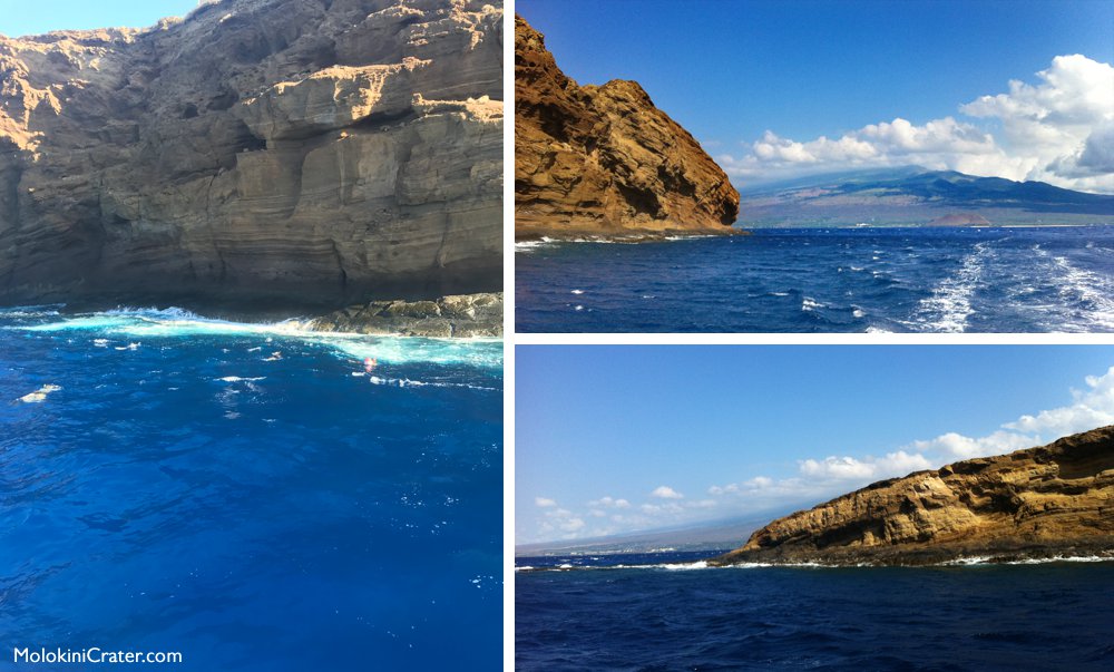 Molokini diving