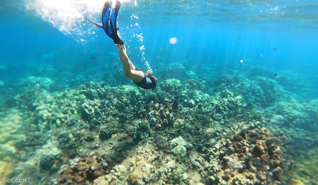 What to Expect when Snorkeling around Maui
