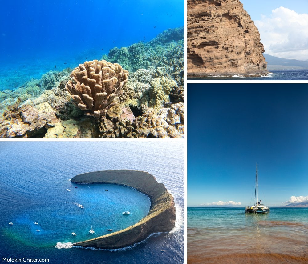 Molokini snorkel trip